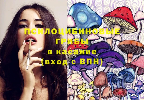 твердый Надым
