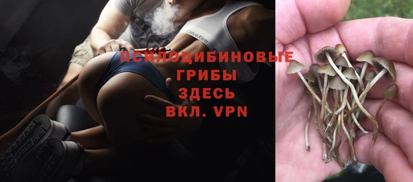 твердый Надым