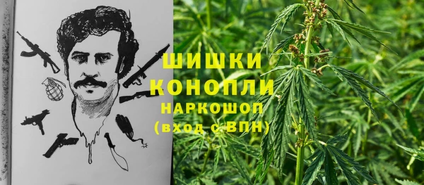 твердый Анива