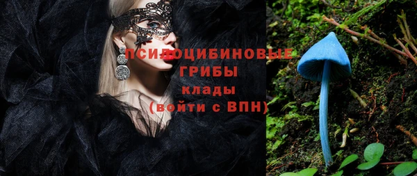 спайс Нея