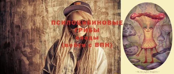 спайс Нея