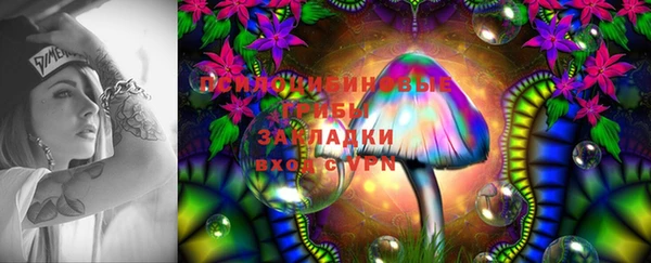 твердый Анива
