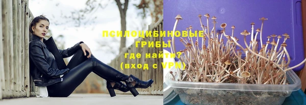 твердый Надым